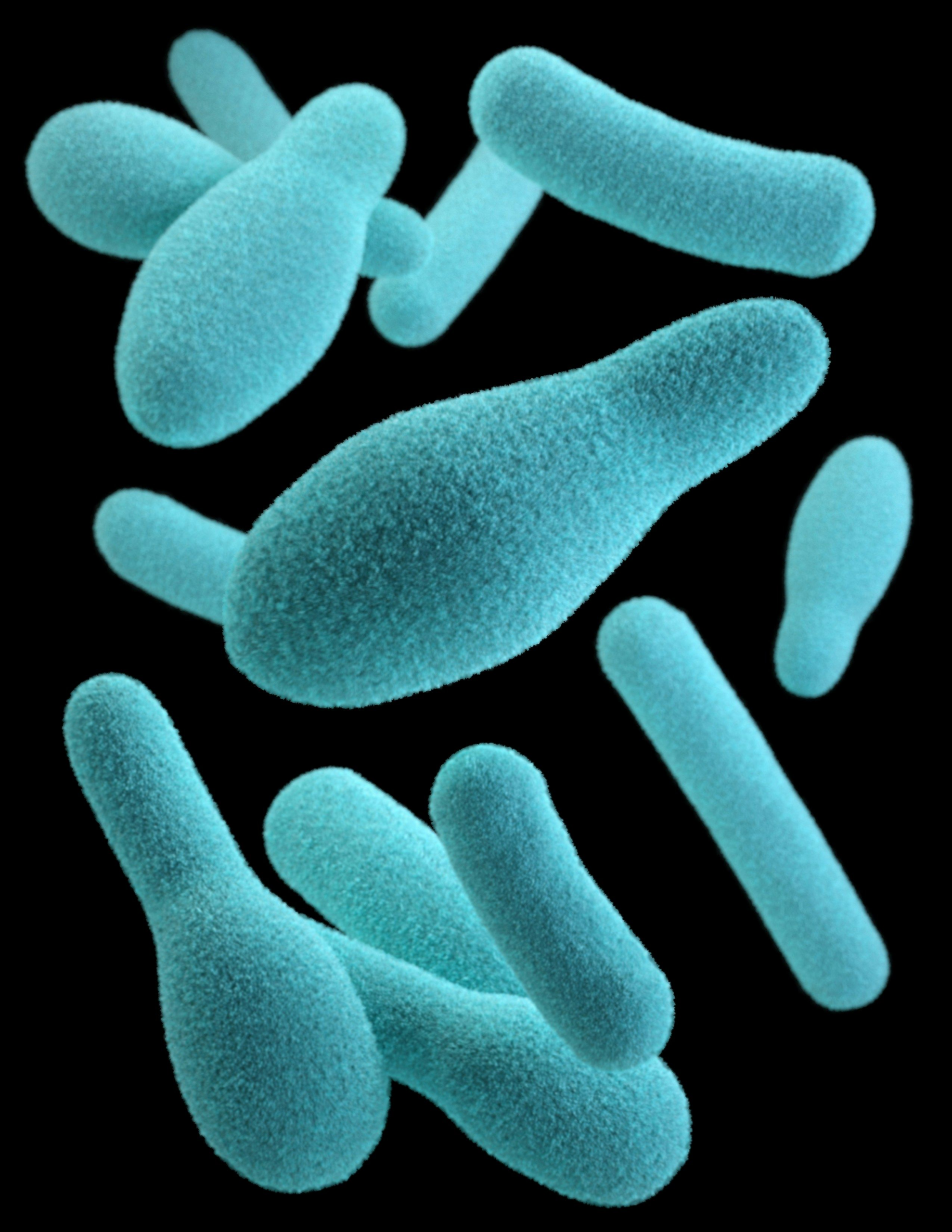 New Breakthrough: Weak Spot Found in Drug-Resistant Bacteria